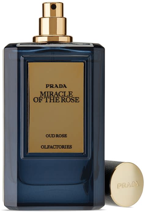 prada oud rose perfume|miracle of the rose prada.